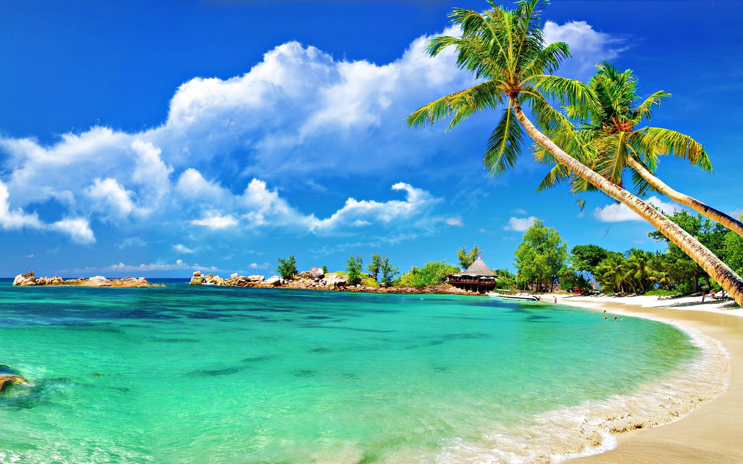 Goa 3
